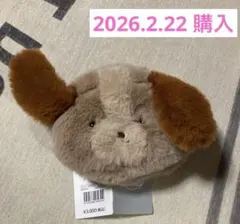 ディズニー ストア　春祭りくじ　レディポーチ