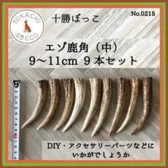 エゾ鹿角 先端（中/水平カット）9本セット 9〜11cm No.0215
