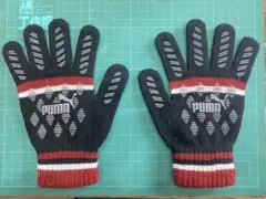 Item thumbnail for item 412b318d-9425-4f8c-ad31-e3ad39bdf2a7