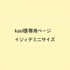 kasi様専用ページイジィデミニサイズバッグインバッグ