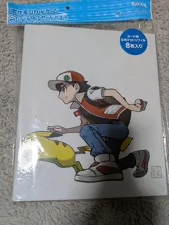 【新品未開封品】レッド＆ピカチュウ　コレクションファイル