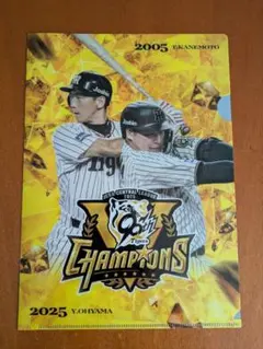 阪神タイガース優勝記念 クライマックスクリアファイル　大山＆金本選手