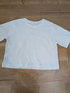 コットン ショート丈 半袖 Tシャツ　アンドミーのサムネイル