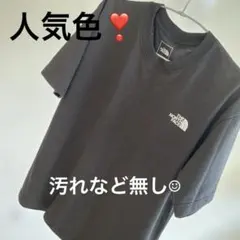h*o様 ザノースフェイス　tシャツ Lサイズ
