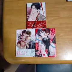 女性向け漫画 3冊セットのサムネイル