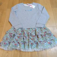 Item thumbnail for item 92c8c00c-6345-45b9-88ae-1eb8c7c56f19