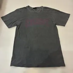 90s STUSSY Tシャツ ピグメント ロゴ グレー ストリート