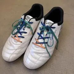 Item thumbnail for item 6af14902-064c-4aa8-a209-b1eae879bb56