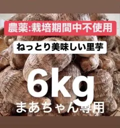 2025年最新】里芋種芋の人気アイテム - メルカリ