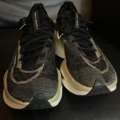 NIKE ALPAFLY NEXT %2 26.5センチ