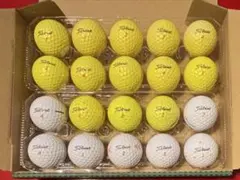 Titleistロストボール20個(TRUFEEL)