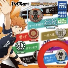 ハイキュー!!TO THE TOP 高校モチーフピンバッチ 鴎台高校