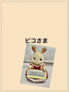専用 ピコさま