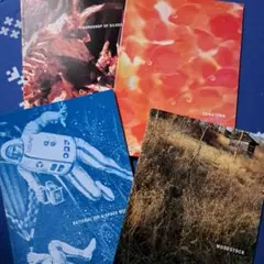 GLAYLife Record in AmericaN.Y.C.Shuffle