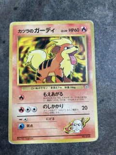 カツラのガーディ ポケモンジム第3弾 グレンタウンジム カツラ - メルカリ
