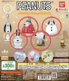 PEANUTS めじるしアクセサリー FUNNY ver