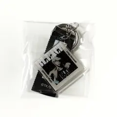 BLEACH レコード アクキー 一護