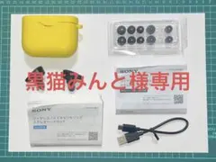 SONY WF1000XM3 シリコンケース付き