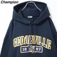 【シダービル大学】チャンピオン スウェット カレッジロゴ 刺繍 蜂 スズメバチ