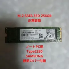 SAMSUNG M.2 SATA SSD 256GB Type2280 正常診断