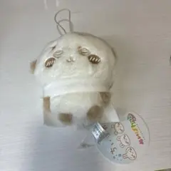 ちいかわ ぬいぱれっと ミルクいろ ラッコ