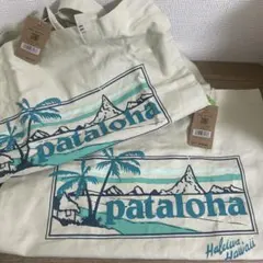 【まとめ売り・24時間以内発送・タグ付き】Patagoniaトートバッグ