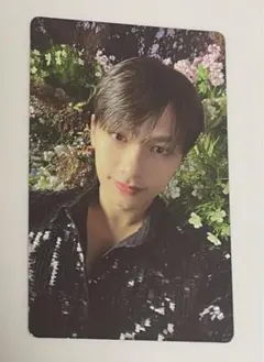 SEVENTEEN Face The Sun Carat盤 ジュン トレカ