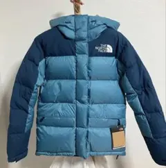 [日本未発売] THE NORTH FACE W HmlynDownParka