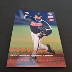 Sean Bergman 2001 Nippon Series Card