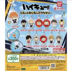 ハイキュー‼︎ふらっとめじるしアクセサリー