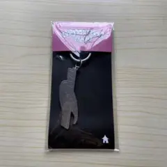 BOYNEXTDOOR19.99テサンキーリングボネクド