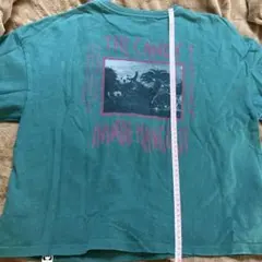Candy stripper 半袖　Tシャツのサムネイル