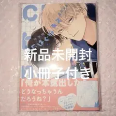 ちぐはぐなキス 特装版 小冊子付き 末広マチ