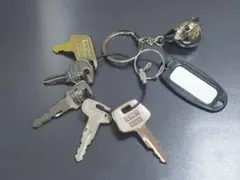 Item thumbnail for item f7a76332-6381-439c-a127-416dac10fe80