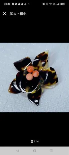 本珊瑚本鼈甲　ブローチのサムネイル