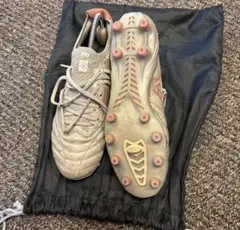 モレリアネオ4β 26.0cm