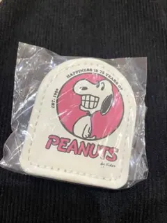PEANUTS スヌーピー 75周年記念キーホルダー