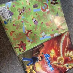 ポケモン 映画20周年 キミにきめた！ クリアファイルセット 2枚組