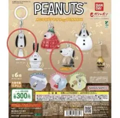 PEANUTS めじるしアクセサリー FUNNY ver. スヌーピー A D