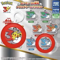 ポケモン30周年 メタルチャームマスコット ピカチュウ　カメックス　2個セット