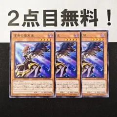 13227 遊戯王 享楽の堕天使 ノーマル 2点目無料