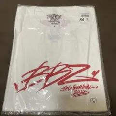 2026年最新】ユニット名：BALLISTIK BOYZ from EXILE TRIBE