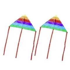 新品レインボーカイト2個 おもちゃホビーグッズidZt78Yg