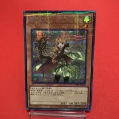 2025年最新】霊獣使いレラ スリーブの人気アイテム - メルカリ
