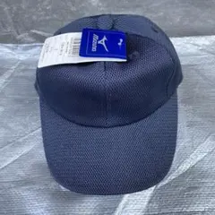 Item thumbnail for item 01967e29-bb81-4641-8e77-562763e973fb