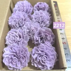 ソラフラワー　2212