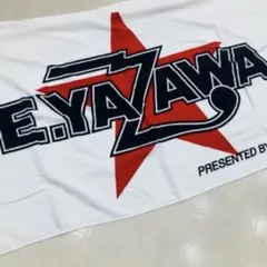 矢沢永吉　2025東京ドームライブPSS席記念タオル&グッズ 矢沢永吉 2025 東京ドーム PSS席 非売品 限定グッズ タオルその他