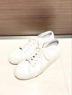 【美品】COMMON PROJECTS スニーカー アキレス 36
