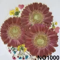 Item thumbnail for item c7425d0d-556d-4cef-8a0e-5b8036c0e3c3