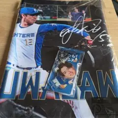 上沢直之 グッズまとめ売り